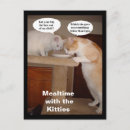 Suche nach mahlzeit postkarten Katzen