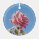 Suche nach kalt ornamente Rosa