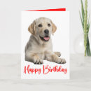 Suche nach gelbes labrador retriever karten Hundeliebhaber