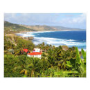 Suche nach barbados poster Fotografie