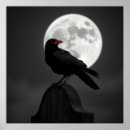 Suche nach full moon poster Natur