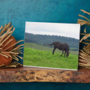 Suche nach wieser fotoplatten Ranch