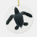 Suche nach schildkröte ornamente ozean