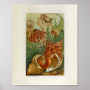 Suche nach crab poster Meere
