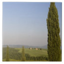 Suche nach zypresse fliesen Landschaft
