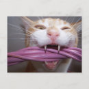 Suche nach e mail postkarten Freunde