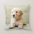 Suche nach couch kissen Hund