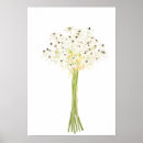 Suche nach stern von bethlehem poster Blume