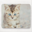 Suche nach bärte mousepads Babytiere