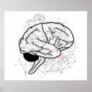 Suche nach brain poster Menschliches gehirn