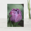 Suche nach lila tulpen karten Natur