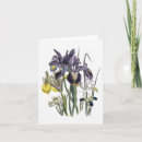 Suche nach iris karten Blüten