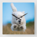 Suche nach terrier wanduhren Haustiere