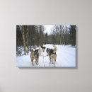 Suche nach dogs leinwandbilder Winter