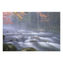 Suche nach flechten poster Landschaft