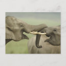 Suche nach indischer elefant poster Fauna