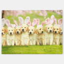 Suche nach niedlicher osterhase magnete Ostern