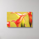 Suche nach calla leinwandbilder Natur