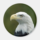 Suche nach kahl magnete Adler