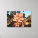 Suche nach rosa apfel kunst Blume
