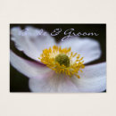 Suche nach japanische anemonen Japanisches anemon