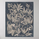 Suche nach vintage botanische studie poster Blätter