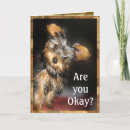 Suche nach es ist okay karten Hund