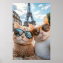 Suche nach lustiges selfie poster Katzen