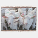 Suche nach ziegen decken Natur