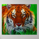 Suche nach indonesisch poster Sumatra