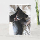 Suche nach tierrettung karten Hund