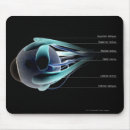 Suche nach muskeln mousepads Körper