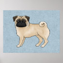 Suche nach süßer mops poster Tier