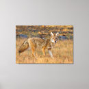 Suche nach camouflage leinwandbilder Jagd