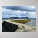Suche nach lyme poster Regis