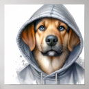 Suche nach kleiner blauer hund poster Blaue augen