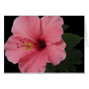 Suche nach pistil Hibiskus