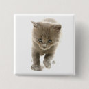 Suche nach katzenartig buttons Süß