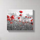 Suche nach mohnblume leinwandbilder Landschaft