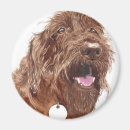 Suche nach labradoodle waren magnete Gekritzel