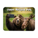 Suche nach moose magnete Souvenir