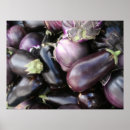 Suche nach aubergine poster Bauer