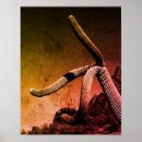 Suche nach vintage western poster Schwarz weiß