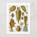 Suche nach darstellen postkarten Von