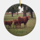 Suche nach weide ornamente Kühe