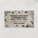 Suche nach exterminator visitenkarten Wanzen