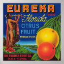 Suche nach florida orangen Zitrone