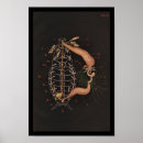 Suche nach zoologie poster Bugs