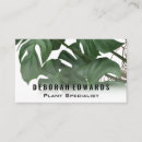 Suche nach tropische pflanzen visitenkarten Veranstaltungsplaner