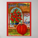 Suche nach 1900 poster Blume